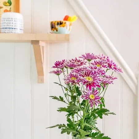 Casa Selina Villa Estoril